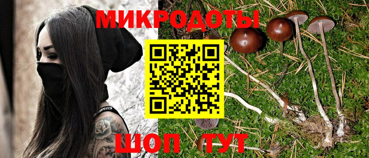 Галлюциногенные грибы прущие грибы Людиново