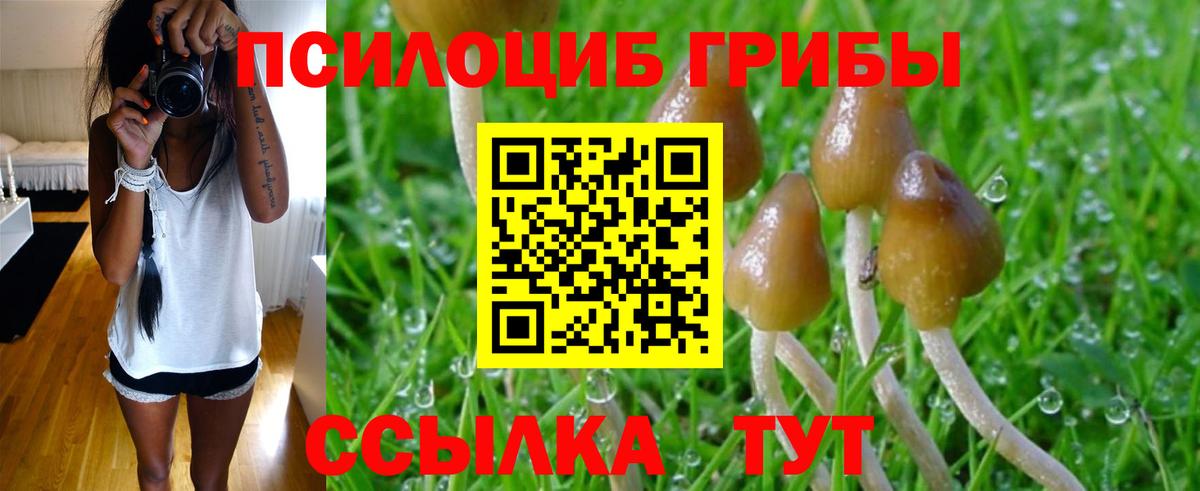 Людиново  Галлюциногенные грибы MAGIC MUSHROOMS  Галлюциногенные грибы мицелий  Вход с VPN 